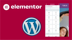 elementor-coletivoaprendizado-wordpress